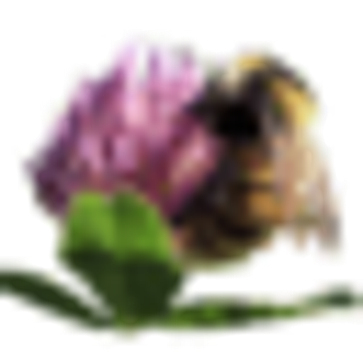 Chov Čmeláků.cz logo