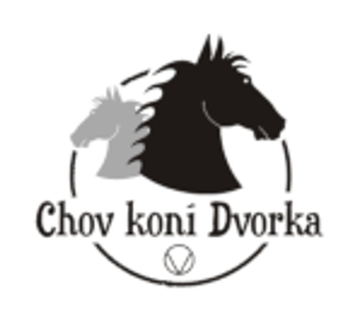 Chov koní Dvorka logo
