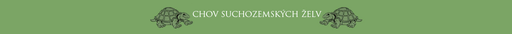 Ivana Kmochová - Chov suchozemských želv logo