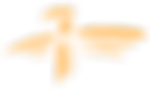 Charitní sdružení Děčín logo