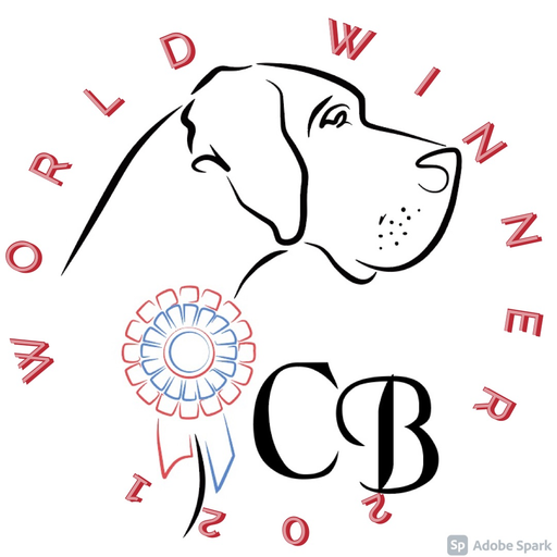 CLAUDIA BOHEMICA logo