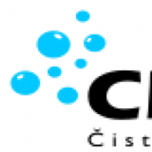 CleanExperts logo