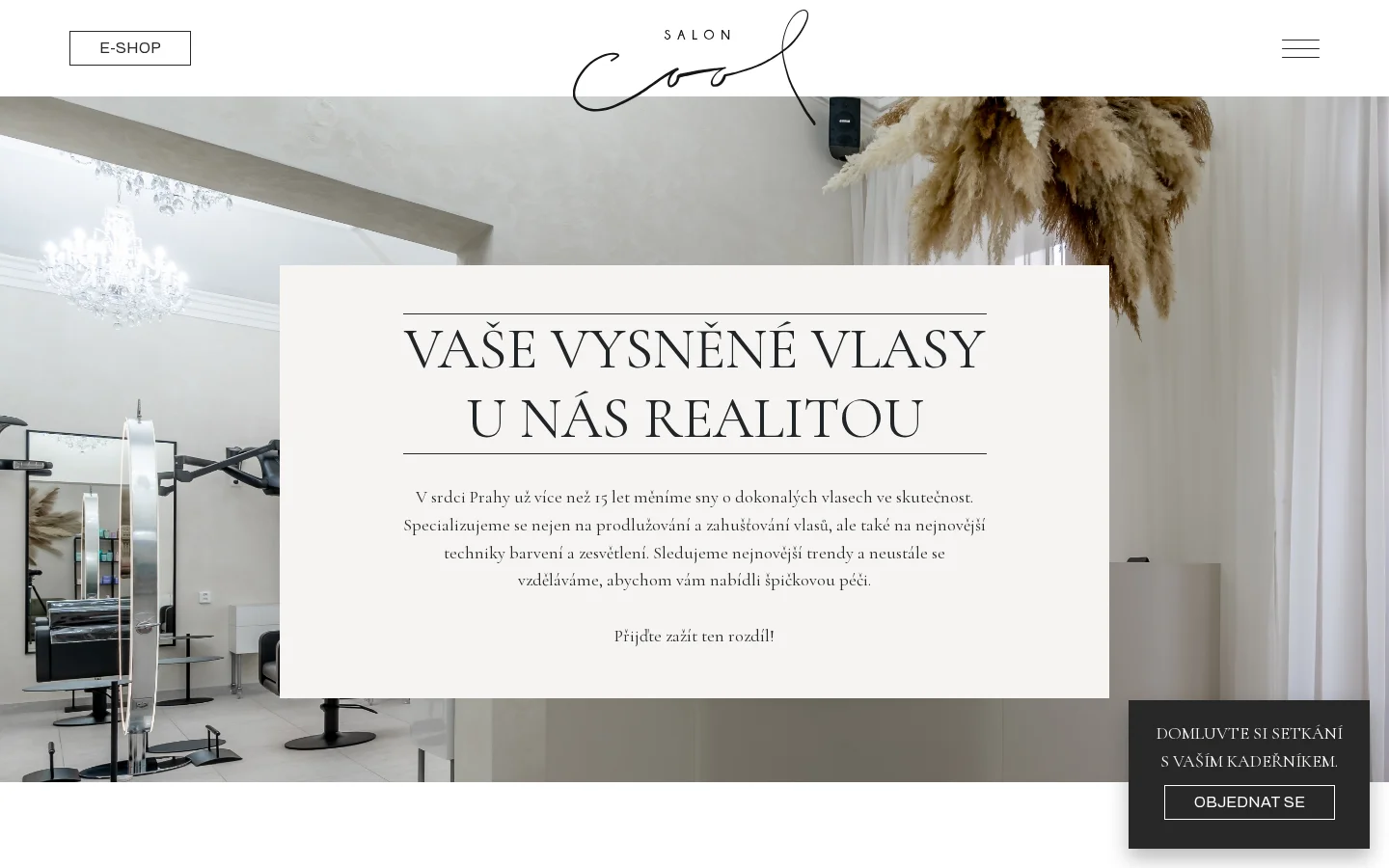 Salon Cool website