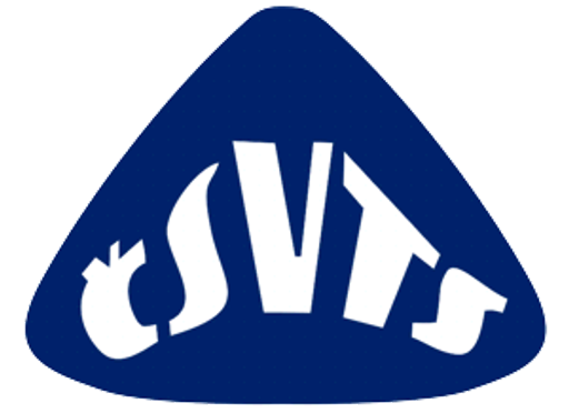 Česká nukleární společnost logo