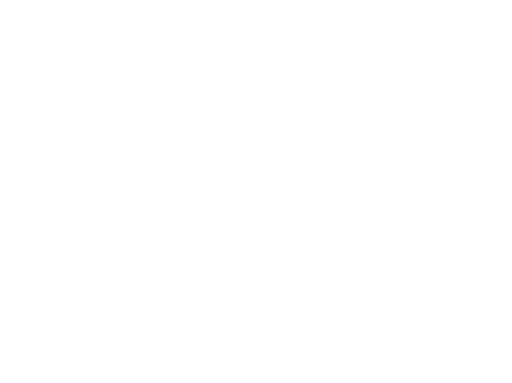 CTS PERFECT Pardubice logo