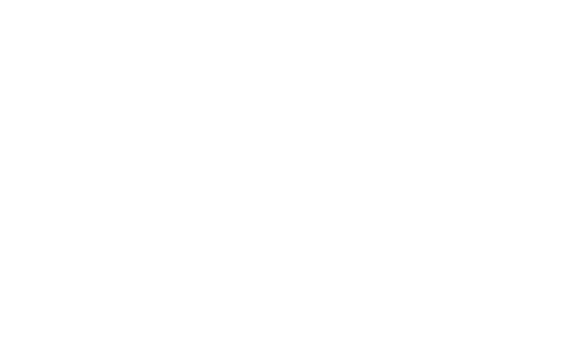 ČVS logo