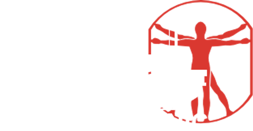 Cybertronic Corp logo