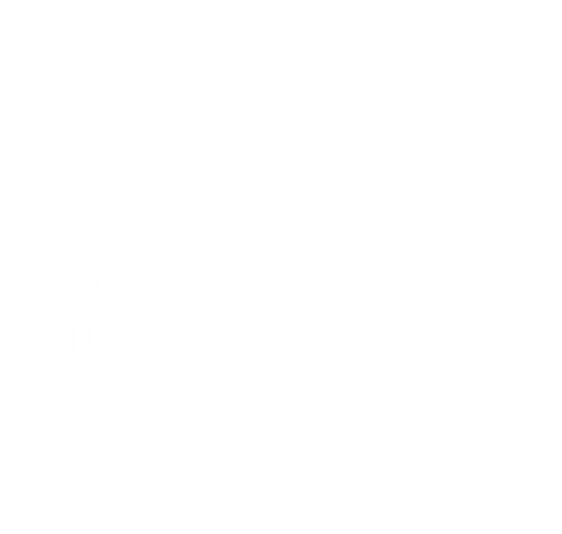 Dreadlocks CZ logo