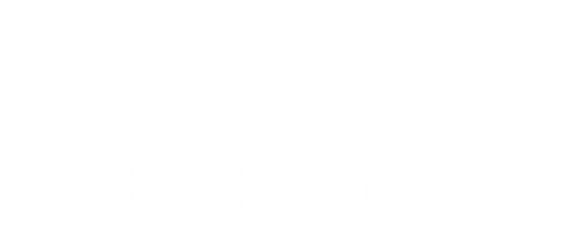 CZECHANTIK.CZ logo