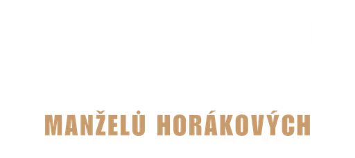 D-Team o.s. Karlovy Vary logo