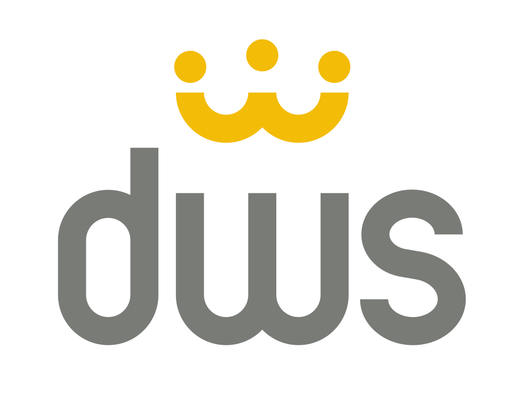 DWSolution, s.r.o. logo