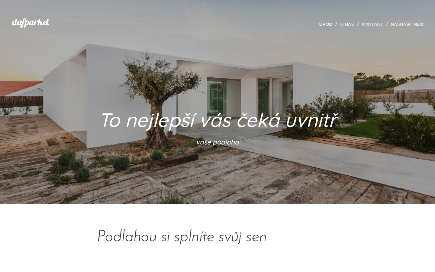 David Svoboda - DAF Parket website