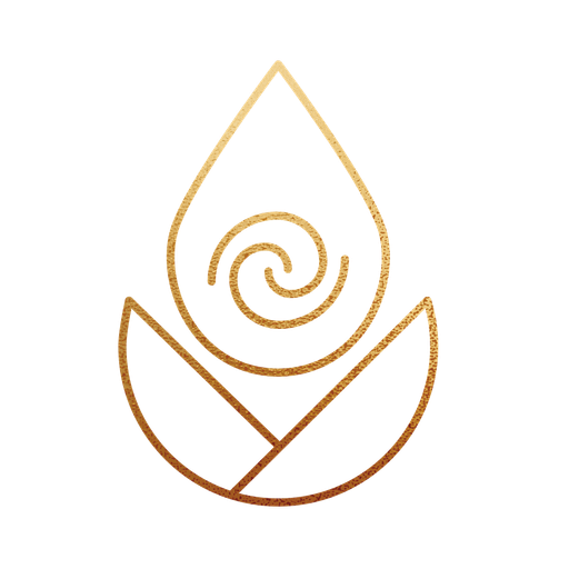 DanceFlow logo