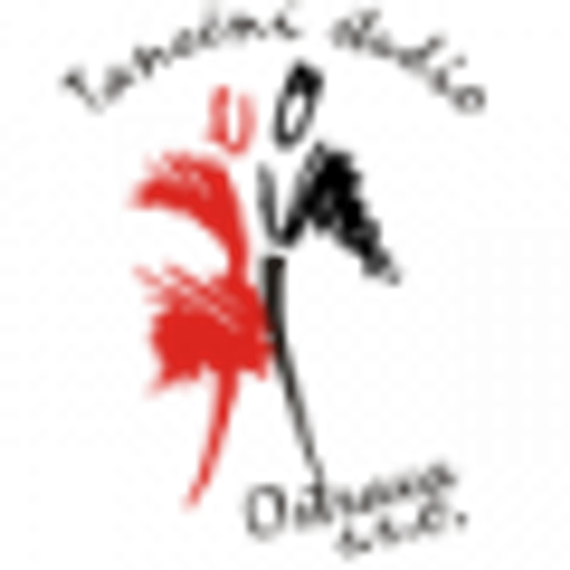 Taneční studio Ostrava logo