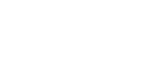 Daňový poradce ev. č. 0580 Ing. Vladimíra Rippelová logo