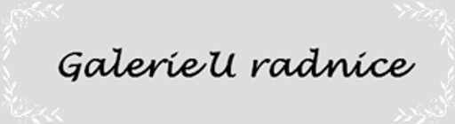Darky-galerie.cz logo