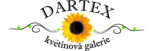 Jan Kada - Dartex logo
