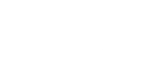 Data Servis - informace s.r.o. logo