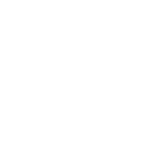 DavHolz logo