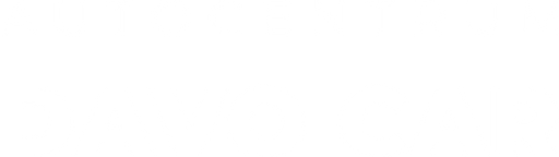 DAVO CAR logo