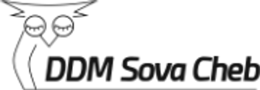Dům dětí a mládeže Sova Cheb logo