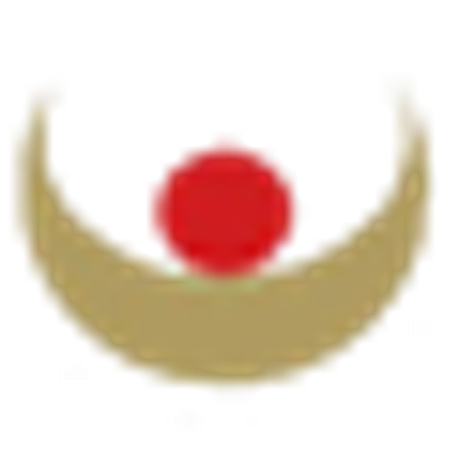 Denisa a Richard logo