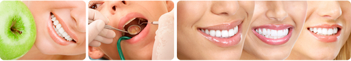 Dentamedika.cz logo