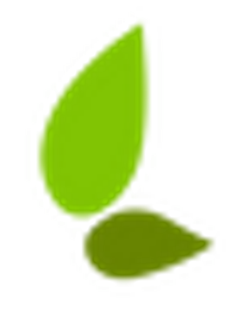 intimo logo