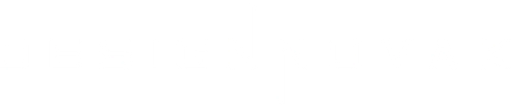DesignNovak logo