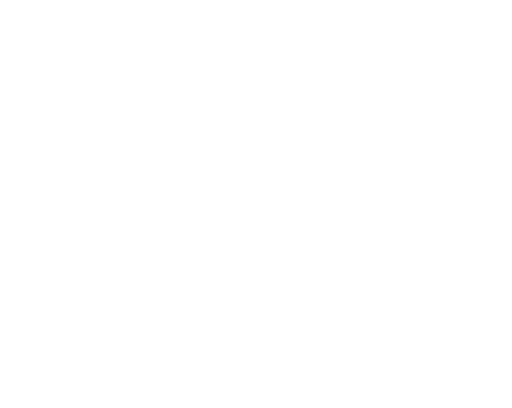 Dětská sportovní akademie, s.r.o. logo