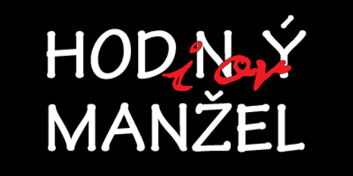 DIAMOND STAVBY logo