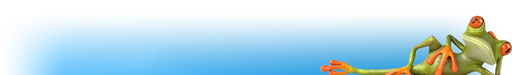 Obchůdek u Divizny logo
