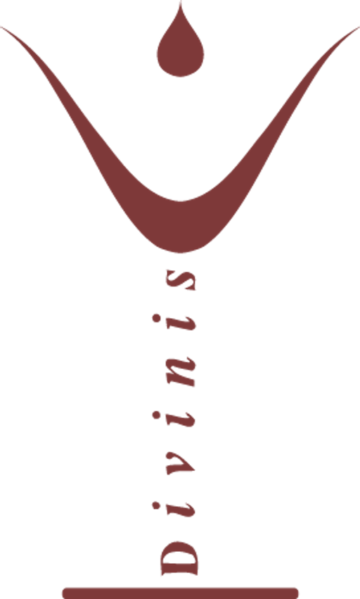 Divinis logo
