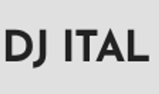 DJ Ital - Jiří Nešpor logo