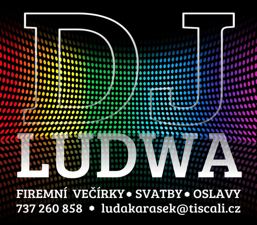 DJ LUDWA logo