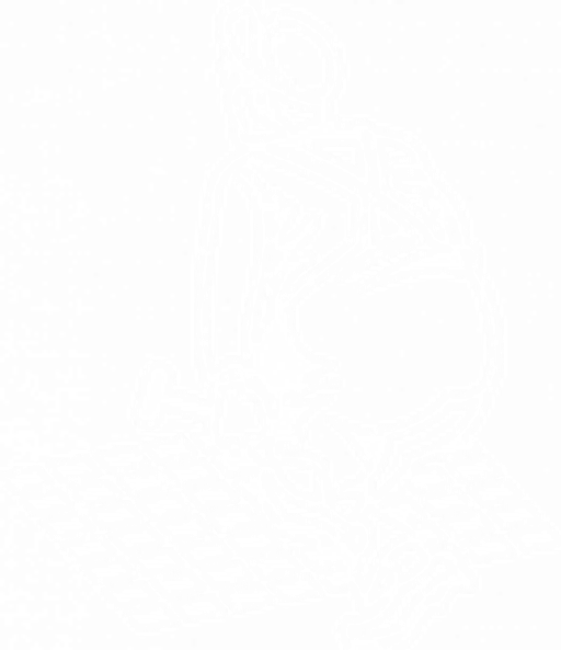 Petr Vaněk - pokládka zámkové dlažby logo