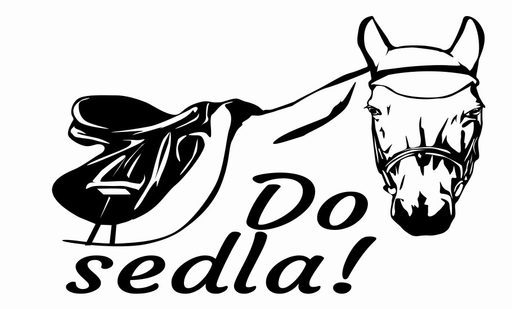 Do sedla! logo