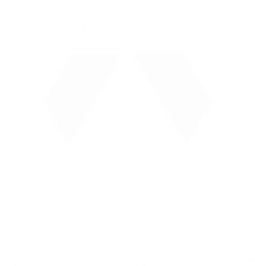 Domisreal logo