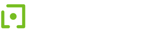 Domus Laundry CZ s.r.o. logo