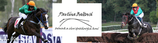 Ing. Miroslav Bašta logo