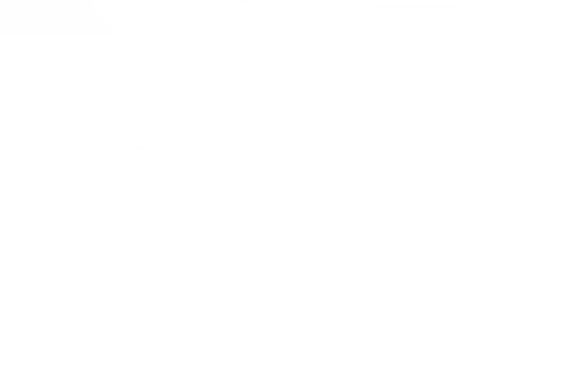DSK Praha logo