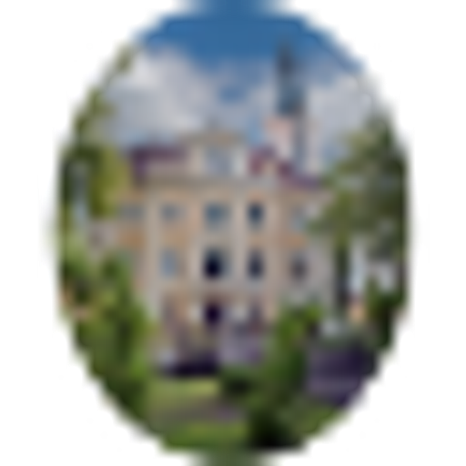 Domov seniorů Vidim logo