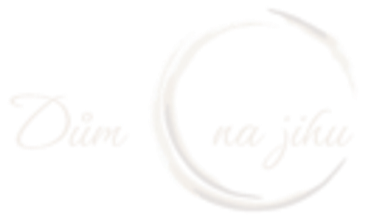 Dům na jihu Mikulov logo