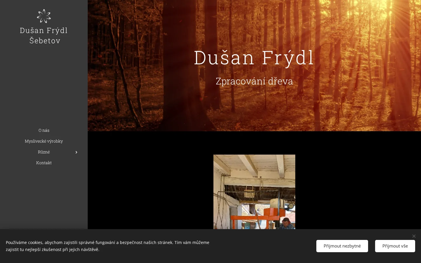 Dušan Frýdl website