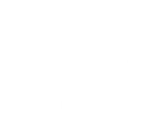 DVCentrum logo