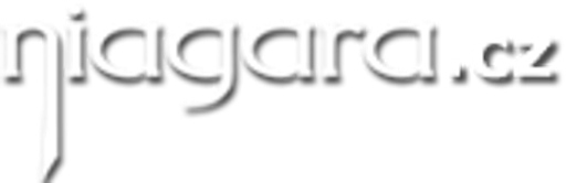 Dvd-niagara.cz logo