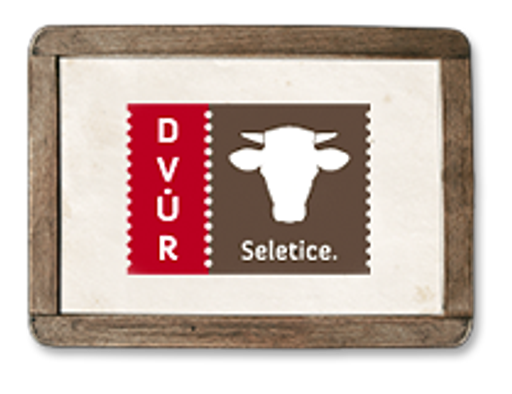 Dvůr Seletice logo