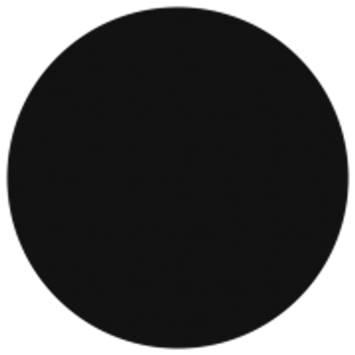 Michal Řičica logo