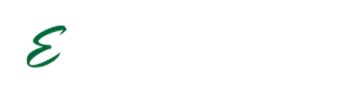 ECLISSI logo