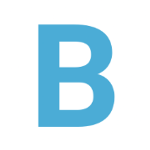 Richard Bílý - Elektrorevize BÍR logo